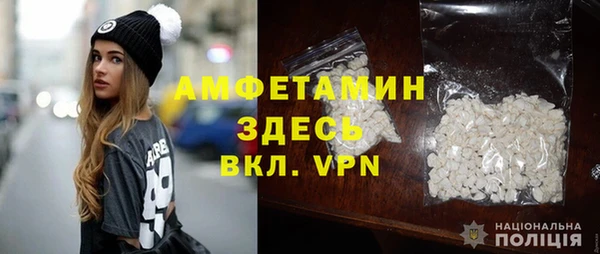 дмт Бородино