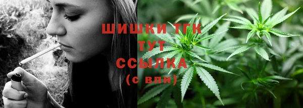 дмт Бородино