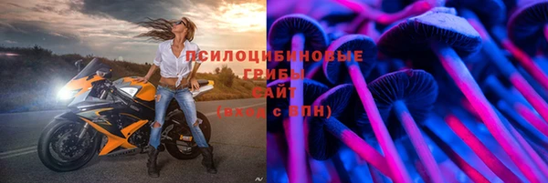 дмт Бородино
