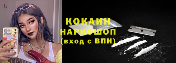 дмт Бородино