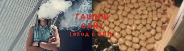 дмт Бородино