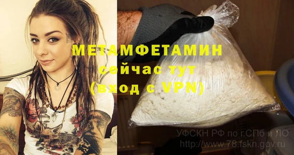 дмт Бородино