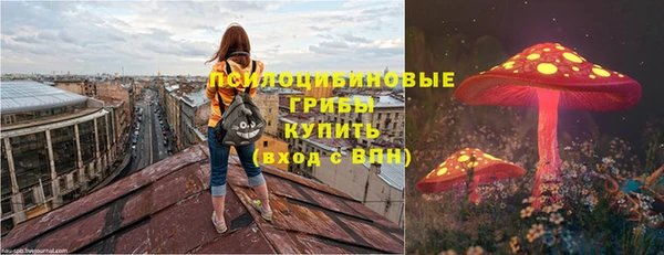 apvp Бронницы