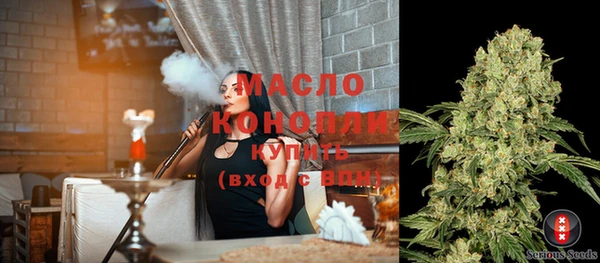 дмт Бородино
