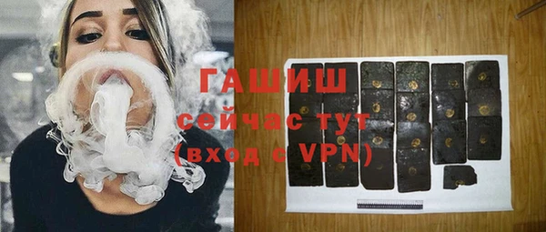 дмт Бородино