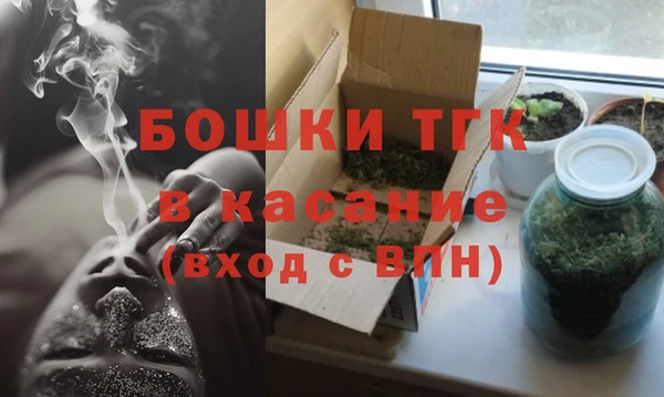 дмт Бородино