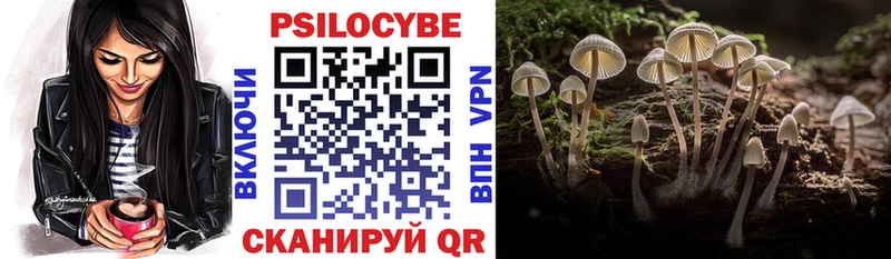kraken рабочий сайт где купить Черкесск Псилоцибиновые грибы прущие грибы